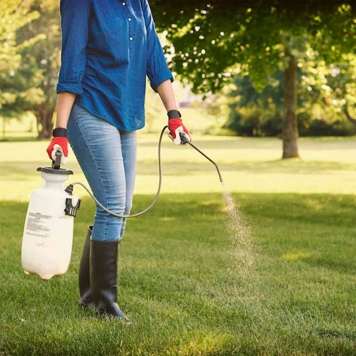 Sevin Concentrate Insect Killer – 1 Gallon - Image 4